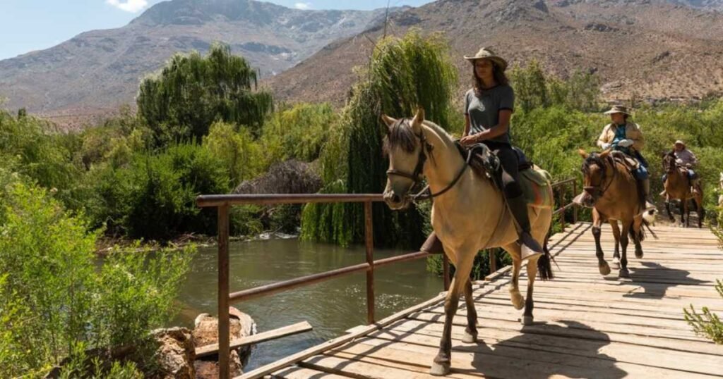 valle del elqui magia y estrellas en el corazon de chile 3