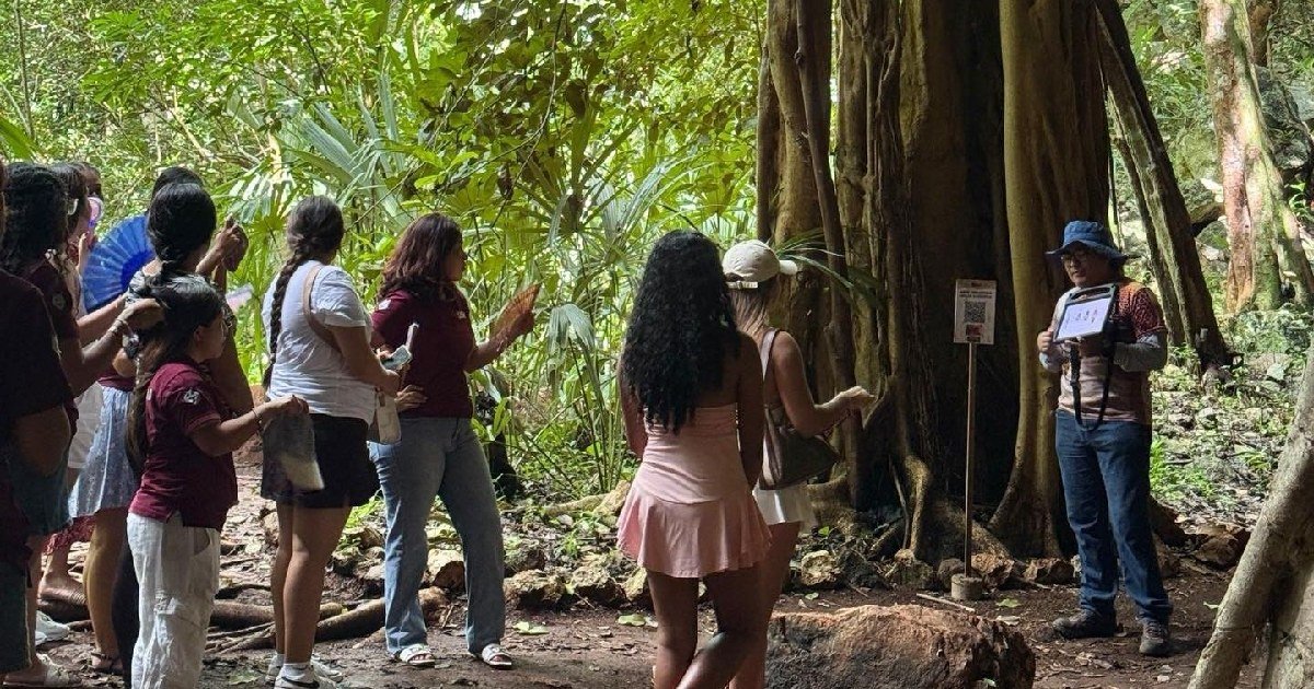 Sefotur y AMIT fortalecerán la promoción del turismo comunitario y de naturaleza en Yucatán