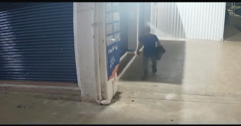 yucatán detienen a persona por caso de maltrato animal en la central de abastos de mérida