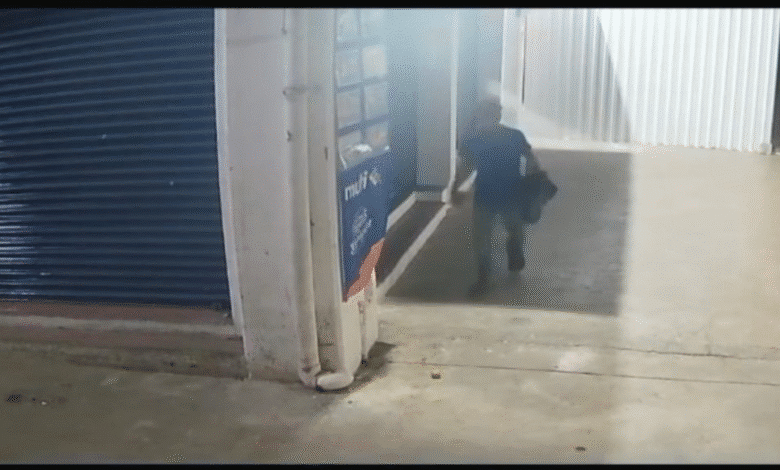 yucatán detienen a persona por caso de maltrato animal en la central de abastos de mérida