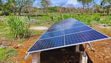 yucatán impulsa el campo con inversión histórica para agricultura y ganadería
