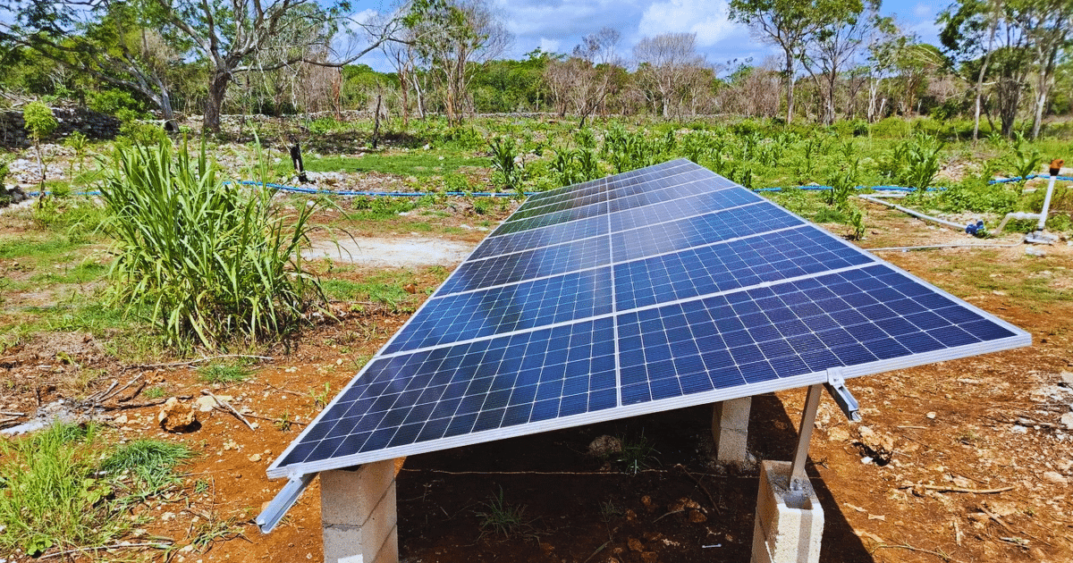 yucatán impulsa el campo con inversión histórica para agricultura y ganadería