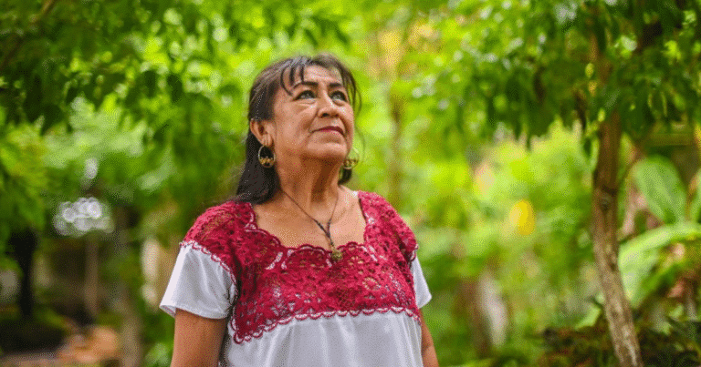 yucatán lanza concursos de ensayo y cartel sobre medicina tradicional maya con premios en efectivo