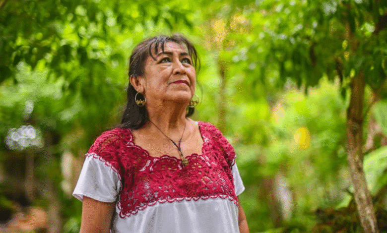 yucatán lanza concursos de ensayo y cartel sobre medicina tradicional maya con premios en efectivo