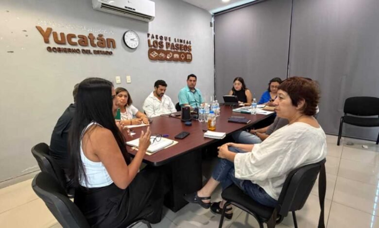 yucatán prioriza movilidad segura y sustentable en paseo de montejo (2)