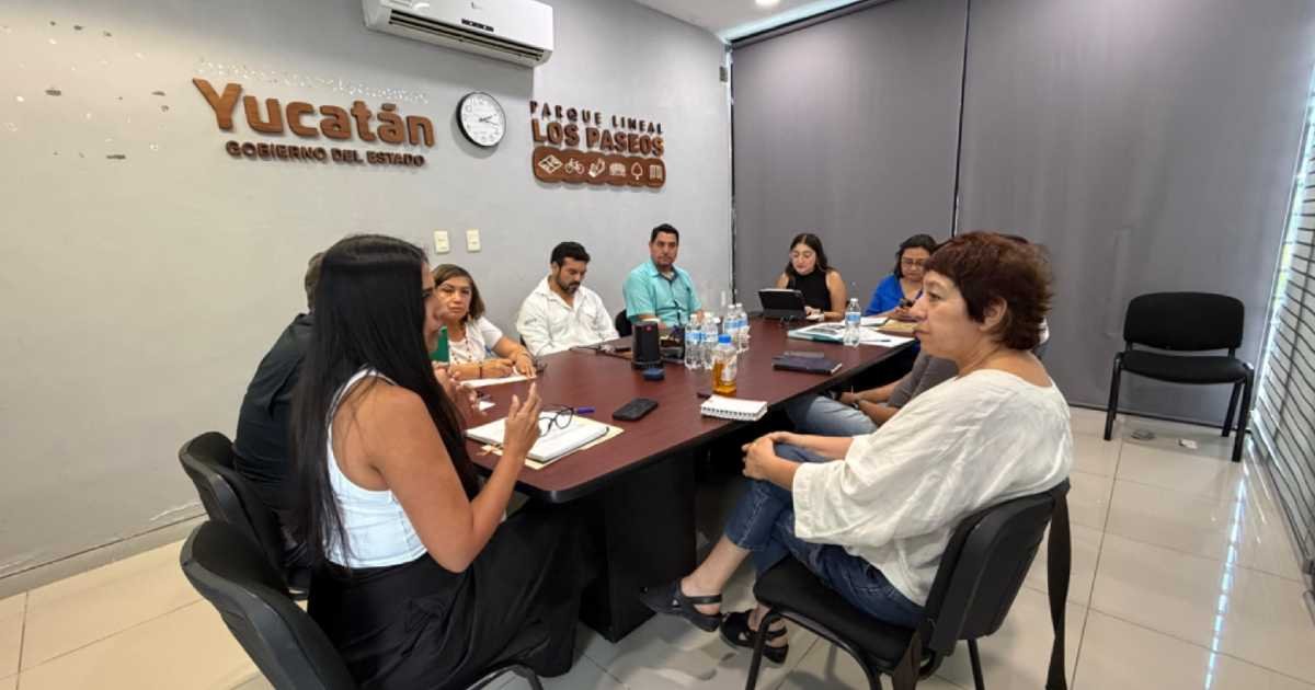 yucatán prioriza movilidad segura y sustentable en paseo de montejo (2)