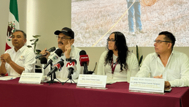 abren inscripciones al programa peua para productores agrícolas en yucatán