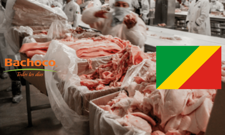 Bachoco inicia exportación de carne de cerdo a República del Congo