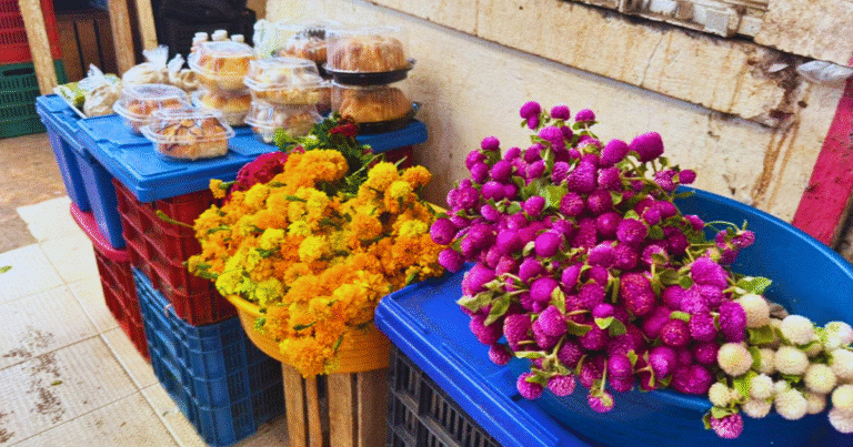 bajan más del 40% los precios en mercados de mérida tras el janal pixán