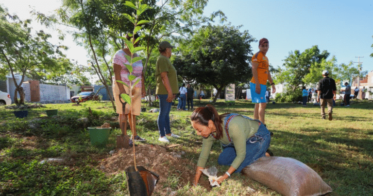 cecilia patrón impulsa la reforestación urbana en las américas