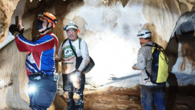 descubren cuatro nuevas cuevas en yucatán inicia un ambicioso proyecto espeleológico para 2026