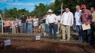 Gobernador del estado arranca programas para fortalecer la soberanía alimentaria, apoyar a productores y modernizar el campo