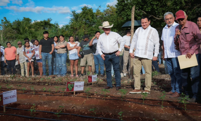 Gobernador del estado arranca programas para fortalecer la soberanía alimentaria, apoyar a productores y modernizar el campo