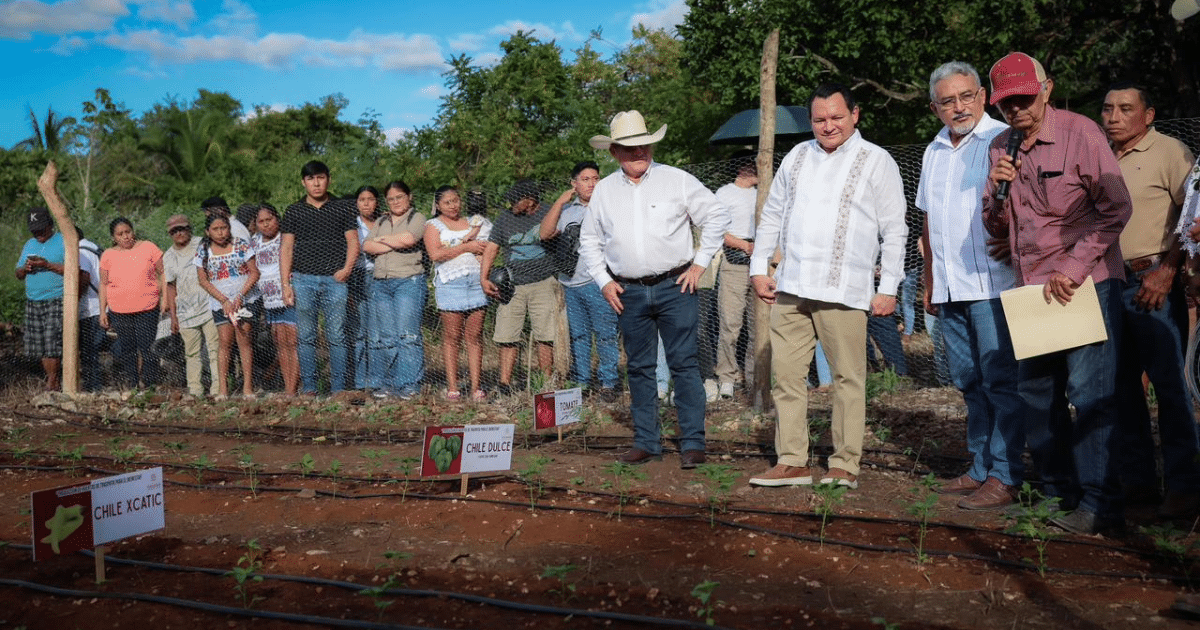 Gobernador del estado arranca programas para fortalecer la soberanía alimentaria, apoyar a productores y modernizar el campo