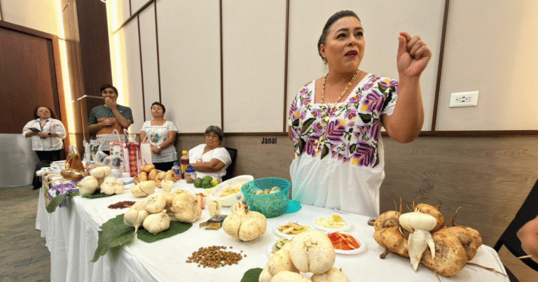 festival de la jícama 2025 llenará de sabor y tradición a maxcanú con más de 30 actividades