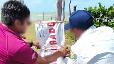 Profepa clausura obras irregulares dentro de la Reserva de la Biósfera Ría Celestún