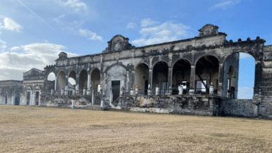 Hacienda Yaxcopoil, encuentro con la historia y la naturaleza