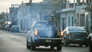 Yucatán reduce proliferación de mosco con fumigación intensiva