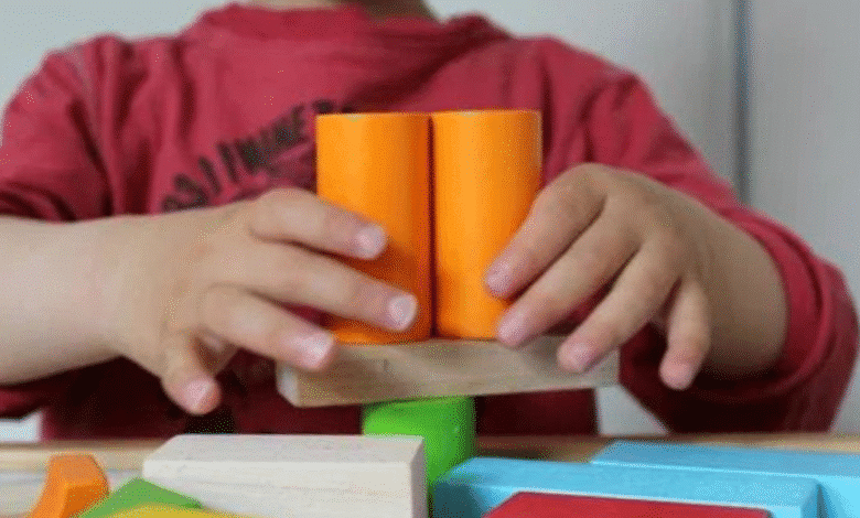 mérida busca transformar sus bibliotecas en ludotecas