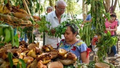 Yucatán ampliará su oferta turística comunitaria con catálogo internacional