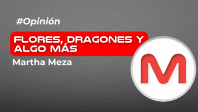 Eres como una mariposa: ¡¡Cambias, evolucionas y te transformas cada día!!