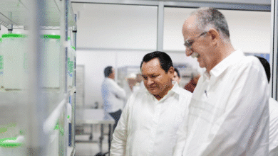 La Federación y el Gobierno estatal fortalecen coordinación para evaluar la instalación de una biofábrica de moscas estériles