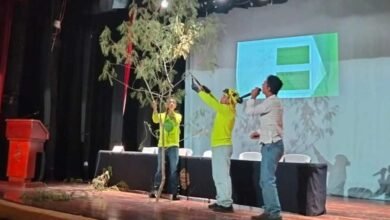 primer encuentro de arboricultura yucatán 2025 llegará a mérida con acceso libre