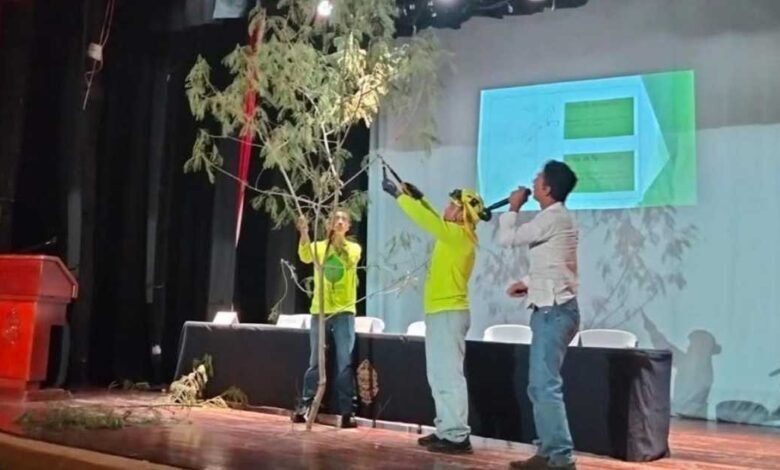 primer encuentro de arboricultura yucatán 2025 llegará a mérida con acceso libre