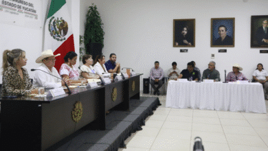 productores y autoridades avanzan en propuesta de nueva ley ganadera en yucatán
