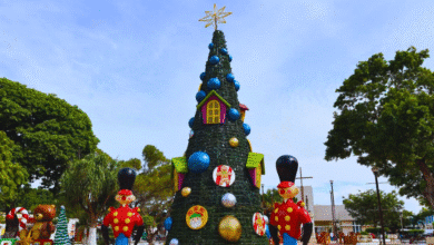 progreso invita al encendido del árbol “un abrazo de amor navideño”