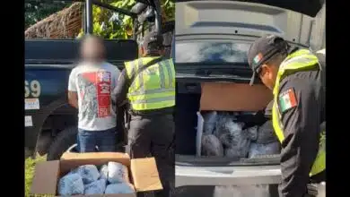 SSP asegura 29 paquetes de cannabis en puesto de inspección de Tekax, Yucatán