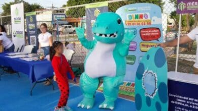 Más de 50 reportes recibidos por WhatsApp a través de la línea de primer contacto