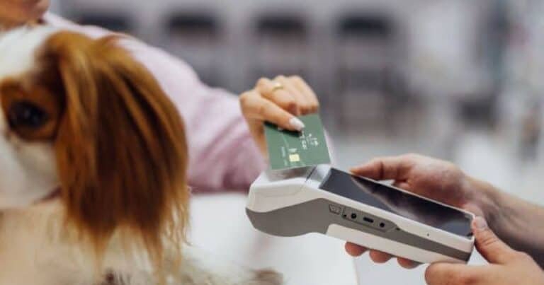 Llaman a vigilar compras durante el Buen Fin para evitar fraudes (Foto de internet)