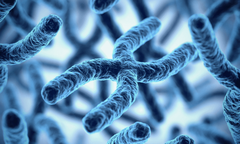 Síndrome 22q11 características y diagnóstico clave