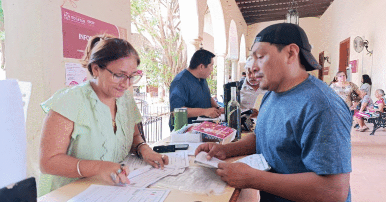 validación gratuita de curp en yucatán garantiza identidad y acceso a trámites