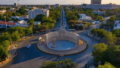 yucatán analiza ajustes viales para mejorar movilidad en paseo de montejo