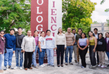 yucatán concluye con éxito el curso de actualización continua en salud bucal 2025