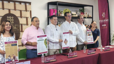 yucatán impulsa a emprendedores con los nuevos programas crea e impúlsate