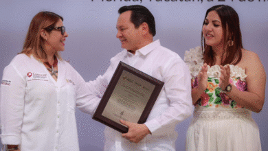 yucatán obtiene acreditación conocer y fortalece la capacitación técnica estatal