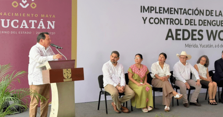 yucatán produce mosquitos con wolbachia para combatir el dengue