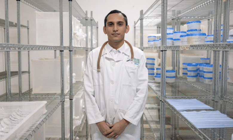 yucatán producirá mosca estéril para erradicar el gusano barrenador