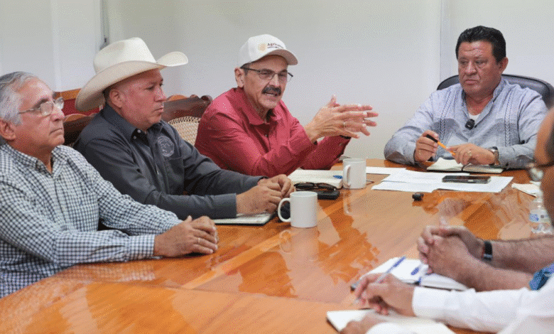 yucatán refuerza estrategia contra el gusano barrenador