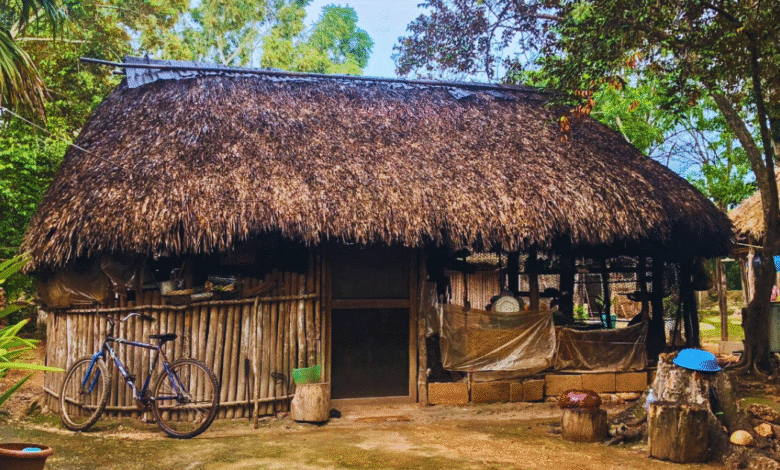 yucatán rescatan la casa maya tradicional, un patrimonio ancestral en peligro