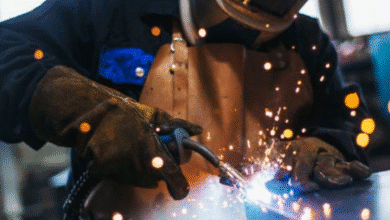 yucatán se posiciona como la tercera entidad con mayor participación económica de méxico