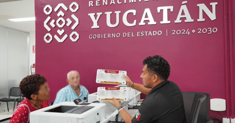 yucatán supera los 300 mil trámites de reemplacamiento