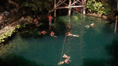 agencias de viajes en yucatán prevén un cierre de año positivo