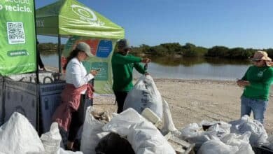 Yucatán cierra 2025 con más de 33 toneladas de residuos retirados de sus playas