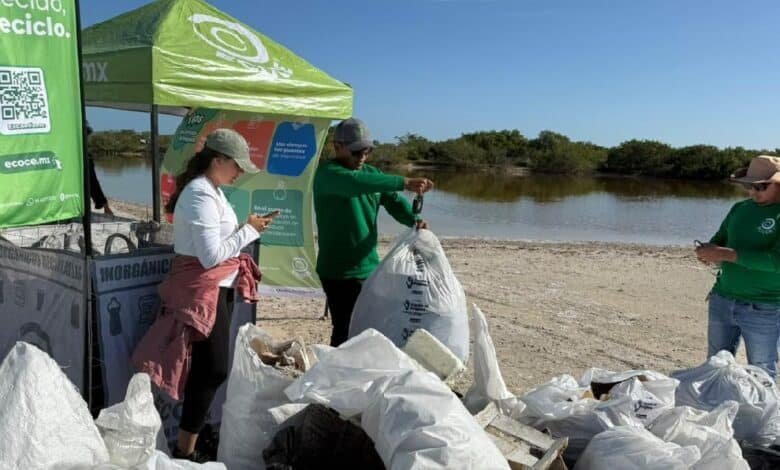 Yucatán cierra 2025 con más de 33 toneladas de residuos retirados de sus playas