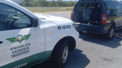 Ángeles verdes cubrirá seis rutas estratégicas en yucatán durante operativo navideño