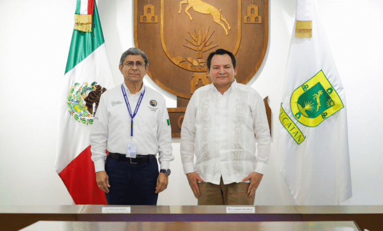 avanza obra del puerto de altura con más de 60%